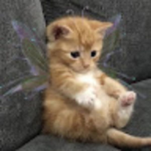 Meet your Posher, Valeria